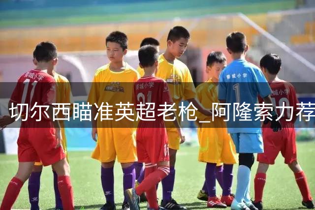 切尔西瞄准英超老枪 阿隆索力荐签下曼联旧将维尔贝克