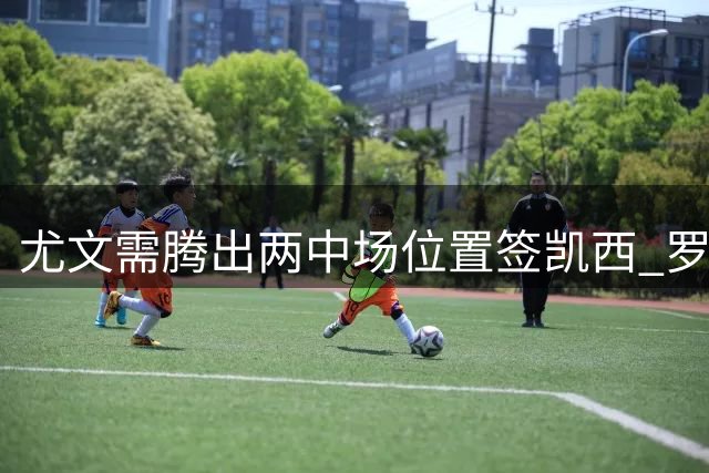 尤文需腾出两中场位置签凯西 罗马加入科特迪瓦国脚争夺战